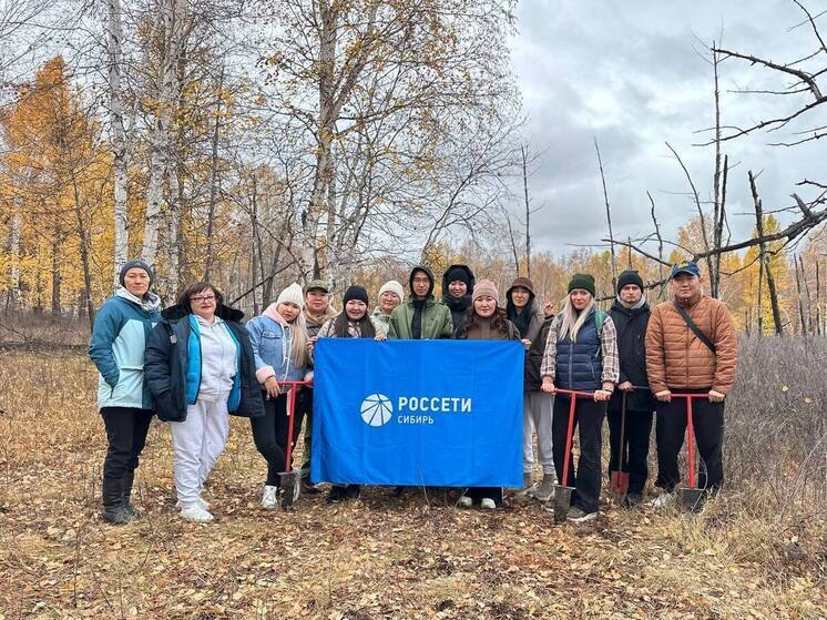  Энергетики «Россети Сибирь Тываэнерго» высадили три тысячи сосен в Тандинском районе