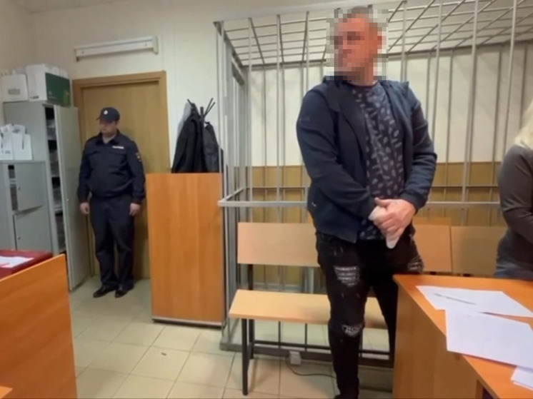 Суд заключил под стражу жителя Всеволожского района, порезавшего своего сына
