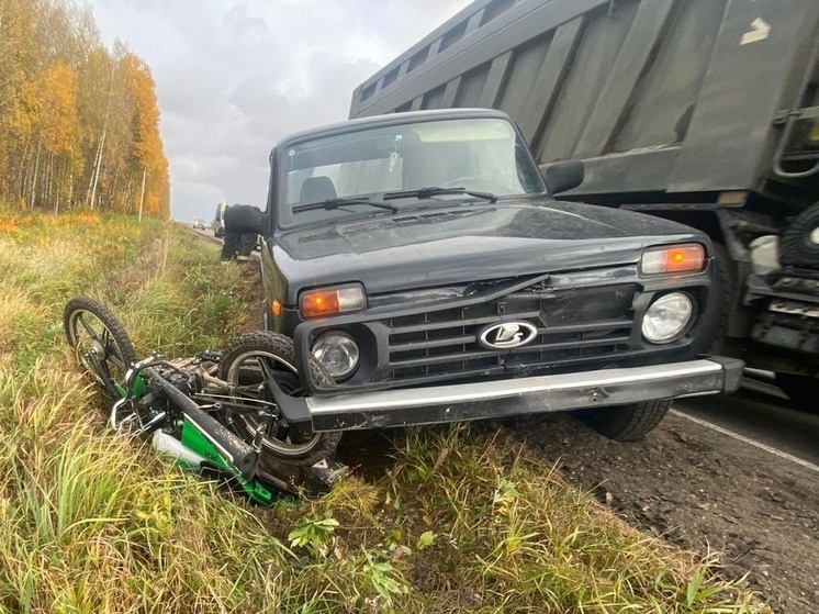 На дороге под Мосальском пенсионерке сломали рёбра