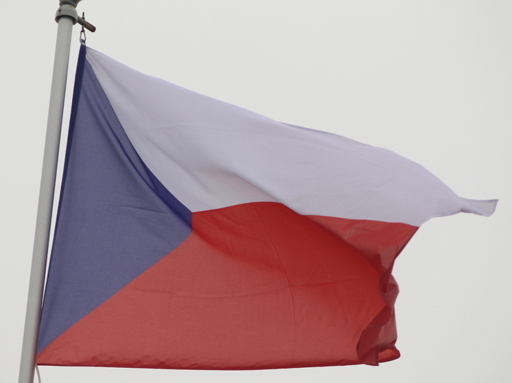 В Чехии может возникнуть правительственный кризис из-за публикаций в соцсетях