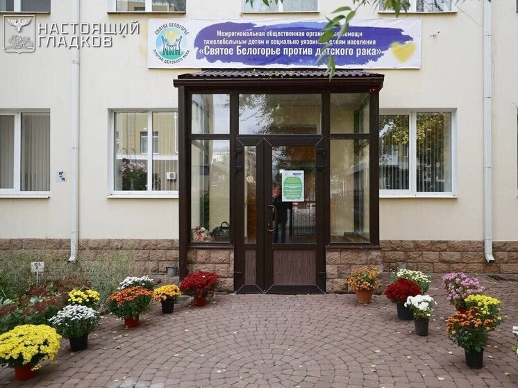 В Белгороде заработала социально-психологическая служба для паллиативных пациентов
