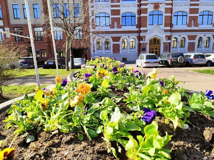 Благодаря теплой погоде Петербург продолжат озеленять и обновлять