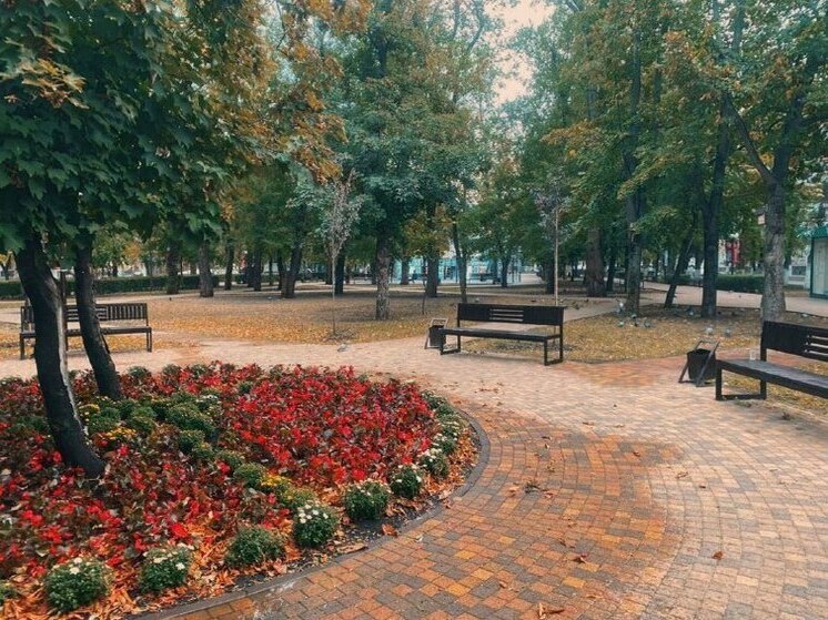 В Черкесске по программе озеленения высадят 90 деревьев