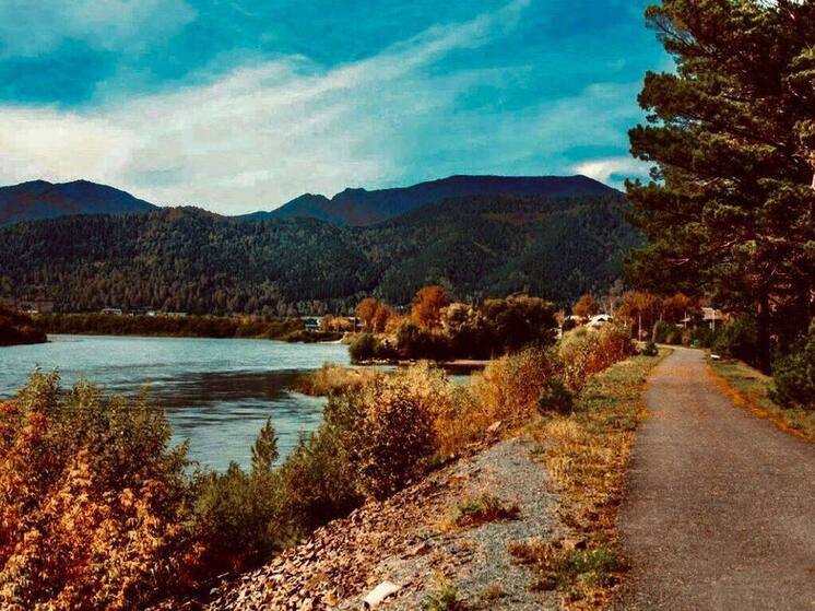 В Абазе охотники преследовали незваного гостя из тайги