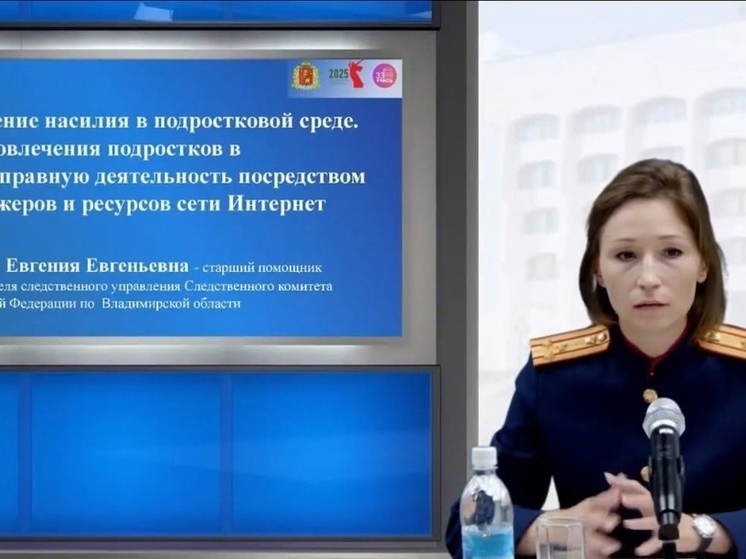 Во Владимирской области подростков стали больше вовлекать в наркобизнес и мошенничество