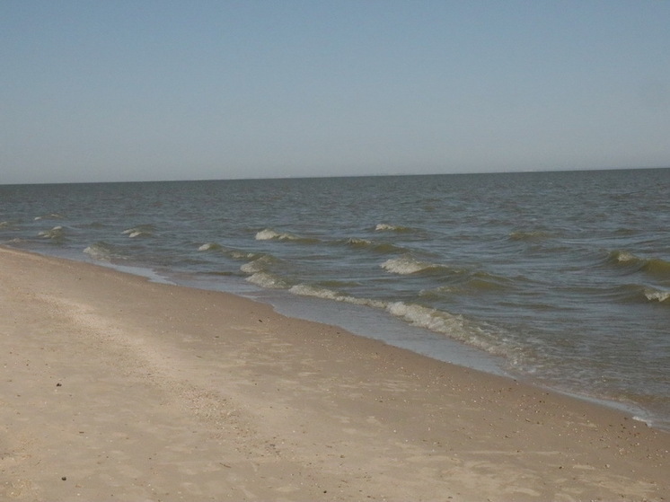 Семья пропавшего в Турции пловца Свечникова обратилась в Генпрокуратуру