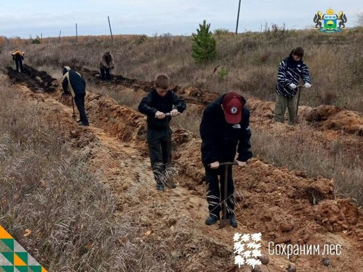 В Исетском районе прошла Всероссийская акция «Сохраним лес»