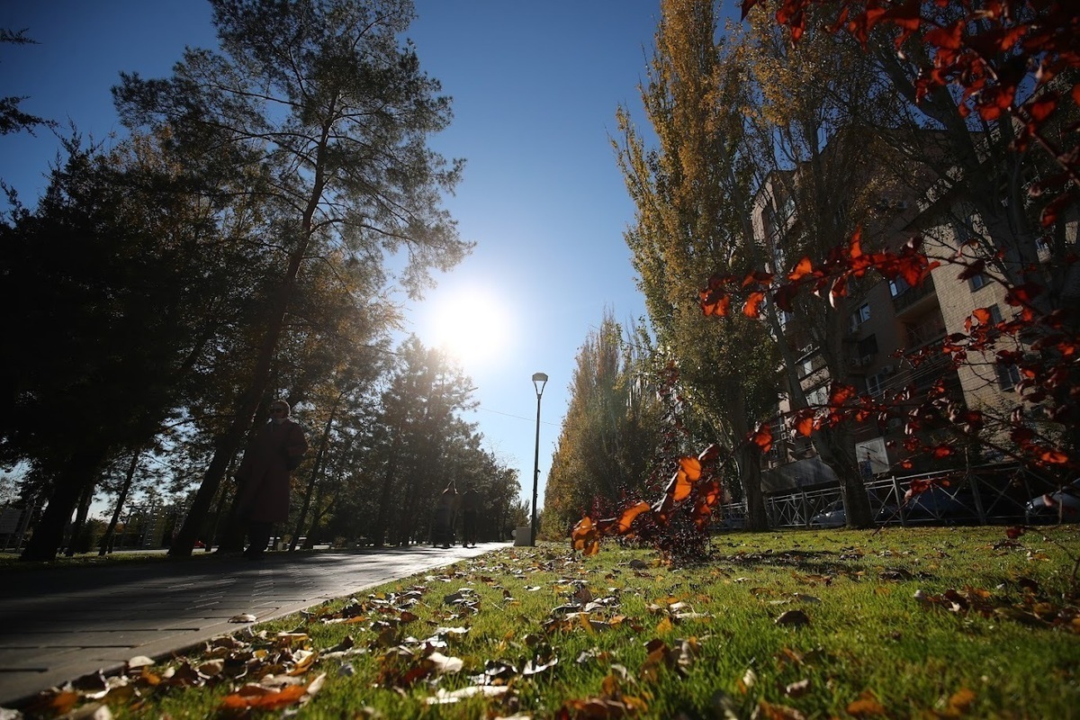 В Волгоградской области 14 октября ожидается до +14 ℃