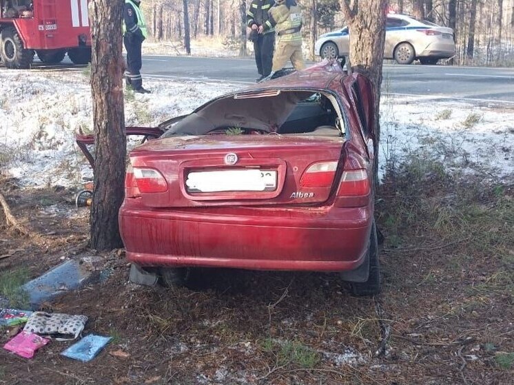 Автомобиль слетел с трассы в Алтайском крае и въехал в дерево. Есть погибший