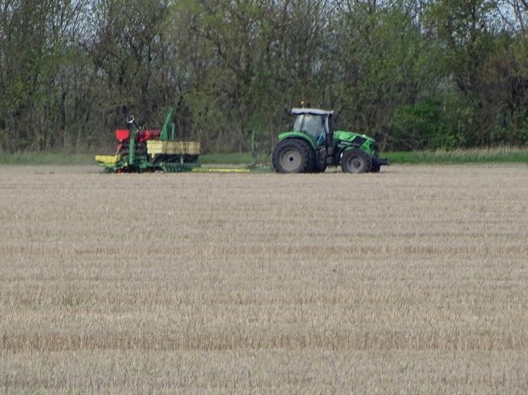 На Ставрополье озимыми культурами засеяли более половины отведенной площади