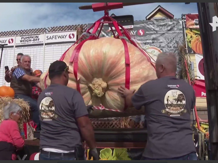 Un ingeniero de California recibió 20.000 dólares por cultivar una calabaza gigante.