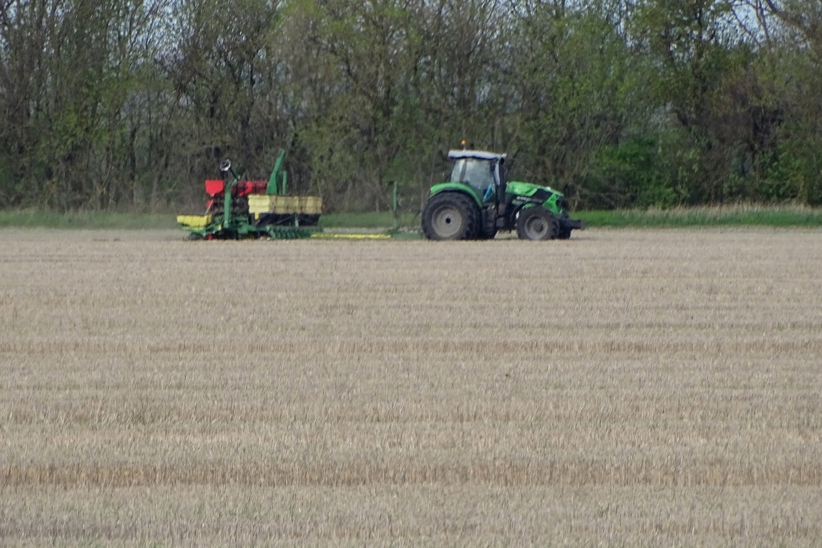Circa un milione di ettari di terreno seminato a colture invernali nella regione di Stavropol'