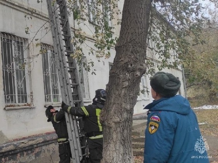 В Барнауле спасатели помогли бабушке попасть к запертому в квартире малышу