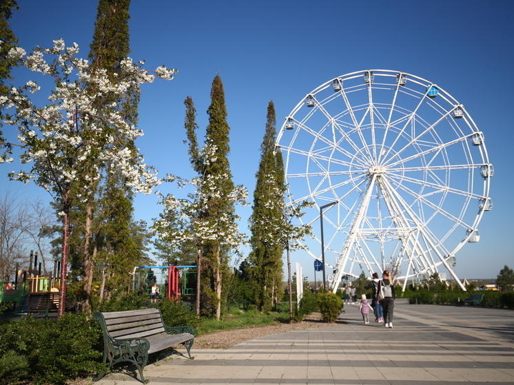 Волгоградцам назвали законные причины для дополнительного отпуска