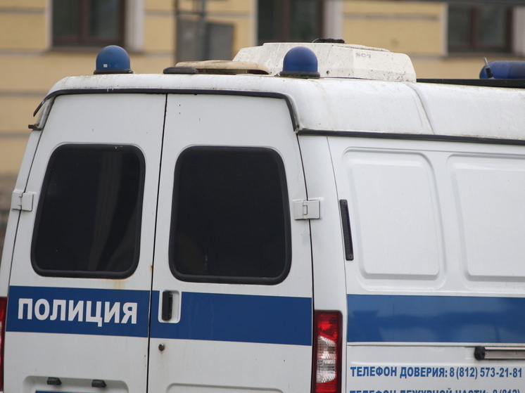 В Санкт-Петербурге девушку споили и изнасиловали охранники на стройке