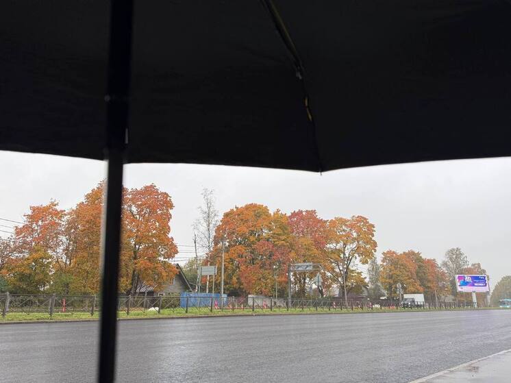 В Петербург 14 октября нагрянул циклон и принес с собой облака, прохладу и дожди