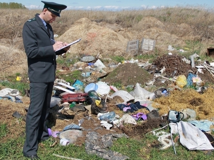 В Ивановской области нашли шесть незаконных свалок на сельхозземлях