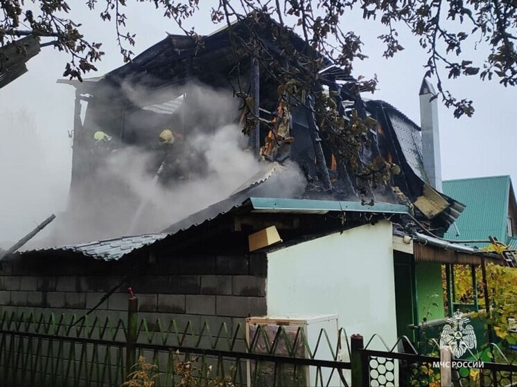 В СНТ «Газовик» под Тулой огонь уничтожил дачу, дом и два гаража