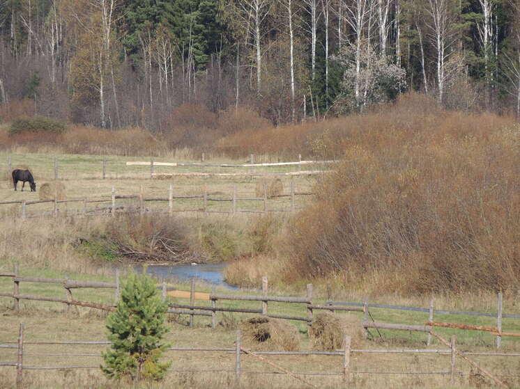 Среднесуточная температура в Свердловской области ниже нормы на 4-7 градусов