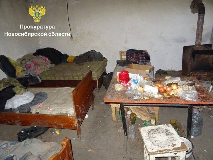 Отца и сына судят за использование рабского труда в Новосибирской области