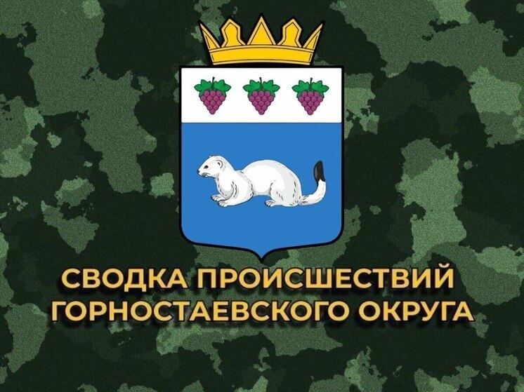 За сутки боевики ВСУ 17 раз обстреляли Горностаевский муниципальный округ