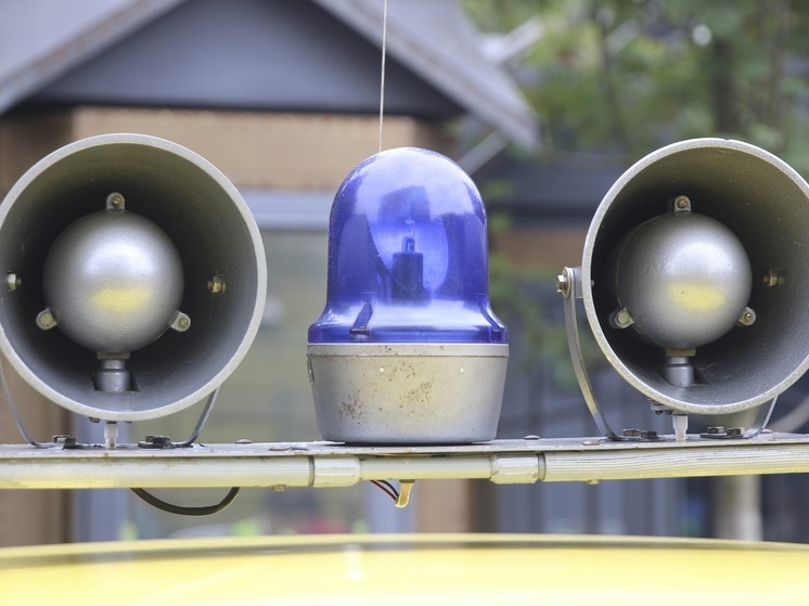 Een inwoner van de regio Primorski Krai probeerde een vals rijbewijs, dat hij online bij de verkeerspolitie had gekocht, in te wisselen.