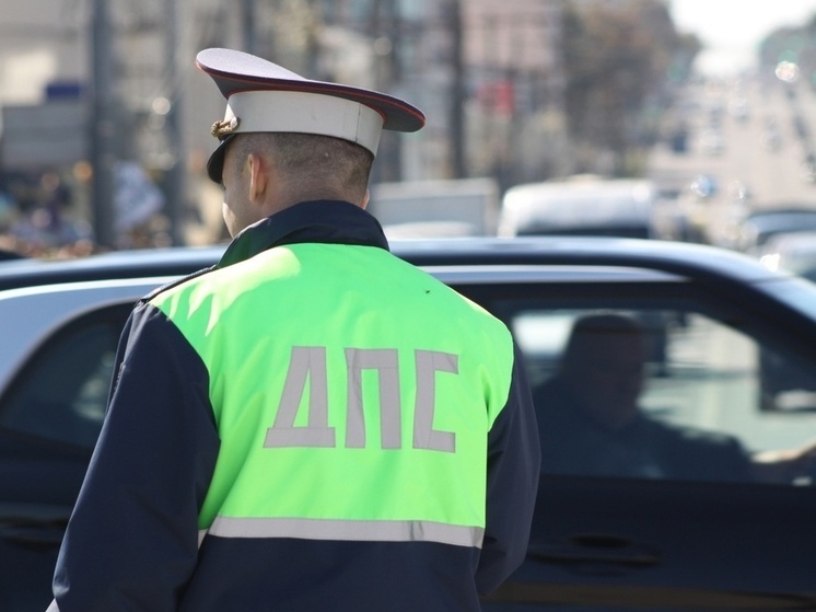 На Калужском шоссе в Туле автобус снес косулю