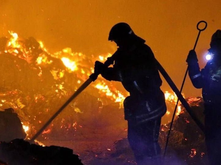 Три жителя ДНР погибли на пожарах за сутки