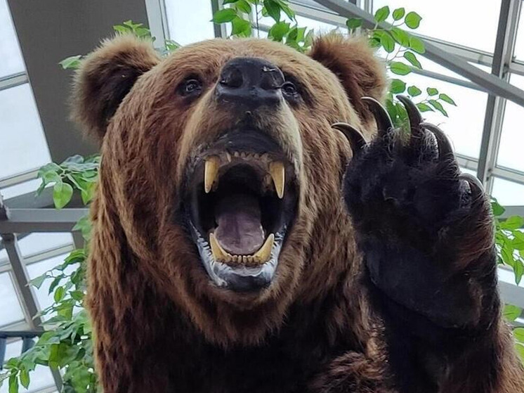 Валдайский парк — прекрасное место для прогулок на природе в любое время года