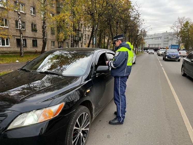 Костромское ГИБДД отчиталось о результатах акции «Внимание! Пешеход!»