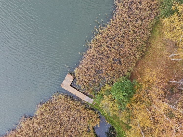 Добровольцы «ЛизаАлерт» рассказали о поиске утонувшего мужчины в Великолукском районе