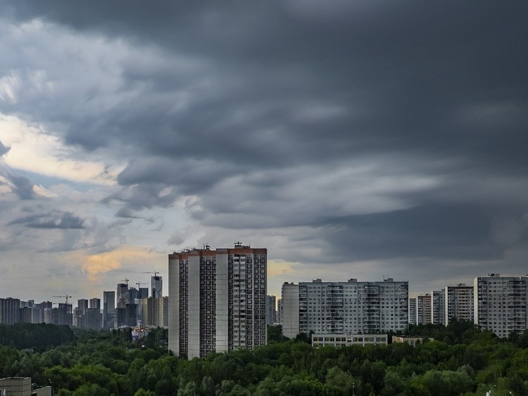 Биофизик Тепляков: наклон земной оси и циклоны уменьшают освещенность в Москве