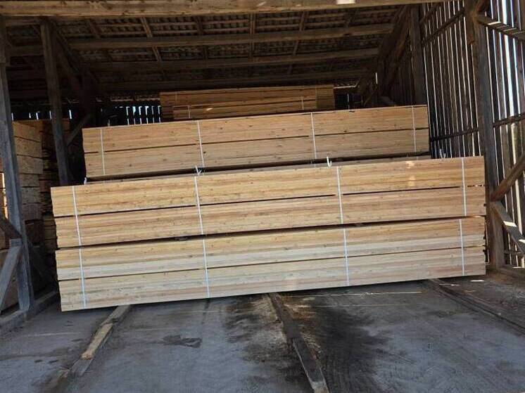 10 тысяч тонн и 48 тысяч кубометров подкарантинной продукции перевезли через границу Псковской области