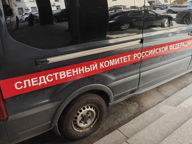Молодого человека подозревают в жестоком убийстве петербуржца на Среднерогатской