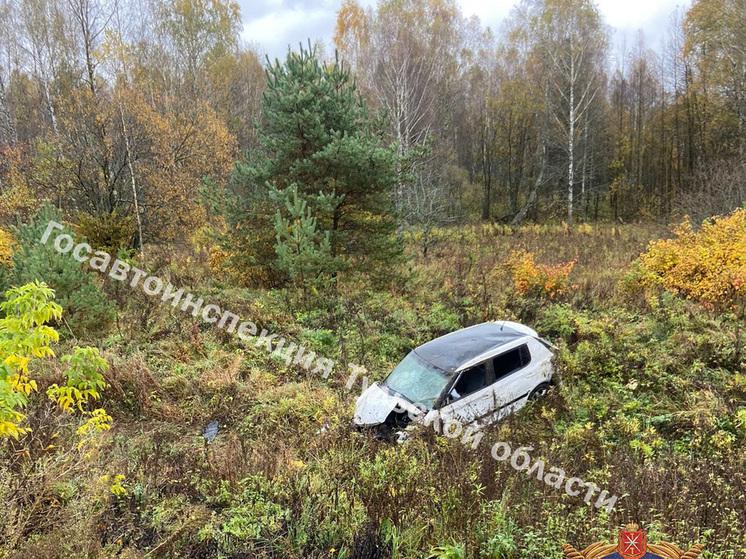 Под Тулой пьяный водитель Skoda улетел в кювет, устроив опасный обгон