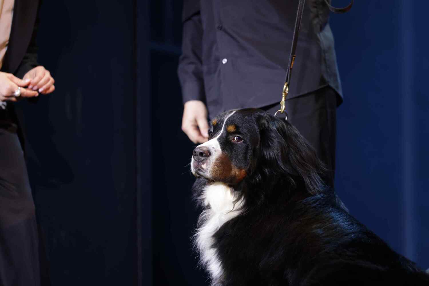 Фрагмент праздничного концерта в честь Марка Захарова