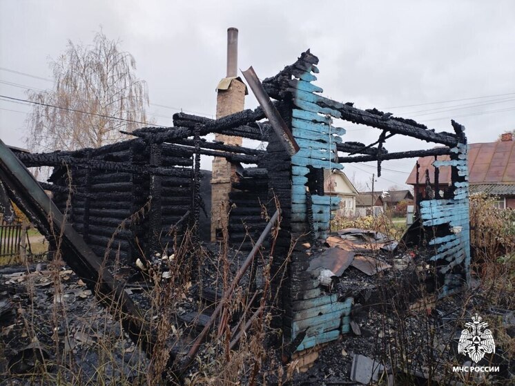 В деревне Шемякино Костромского района при пожаре погиб мужчина