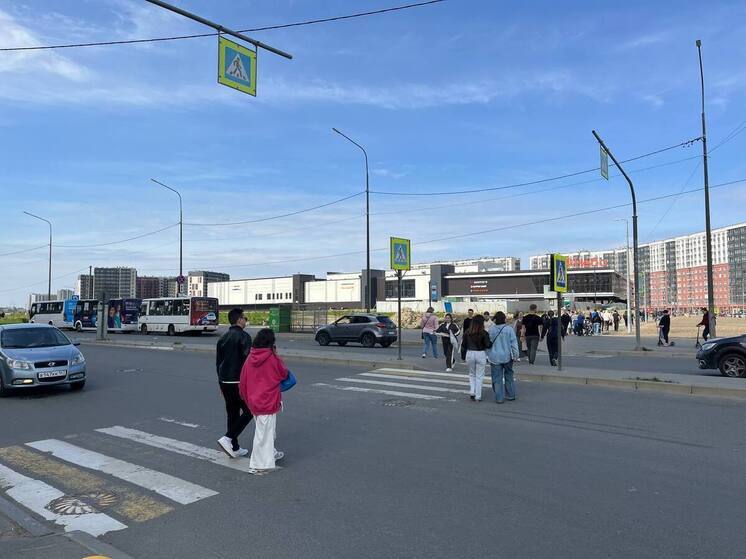 Жители Мурино боятся попасть под колеса на перекресте Шувалова и Ручьевского