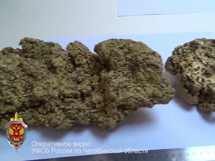 Незаконным золотодобытчикам в Челябинской области вынесли приговор