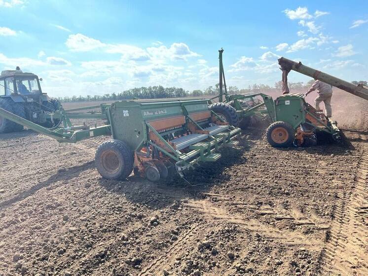 Ставрополье приближается к экватору осеннего сева озимых