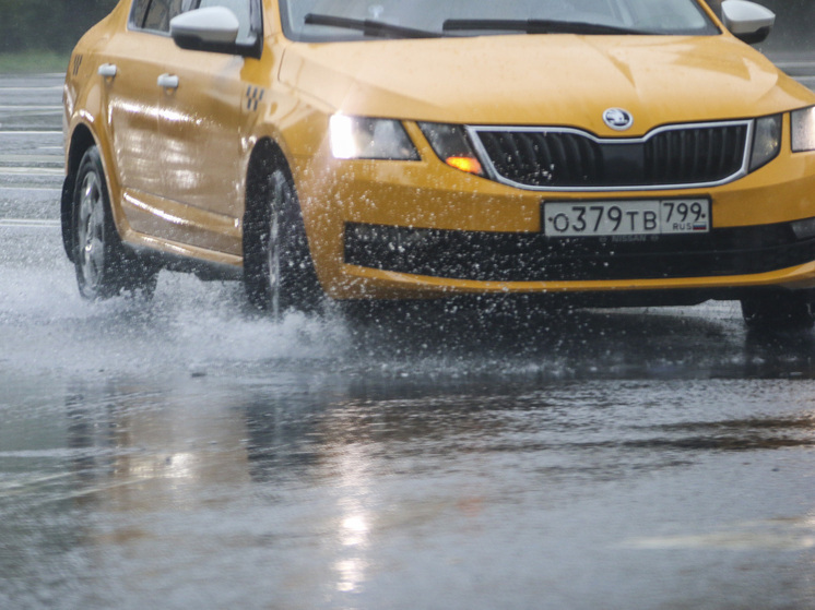 Метеоролог Позднякова: в четверг в Москве погода будет без существенных осадков