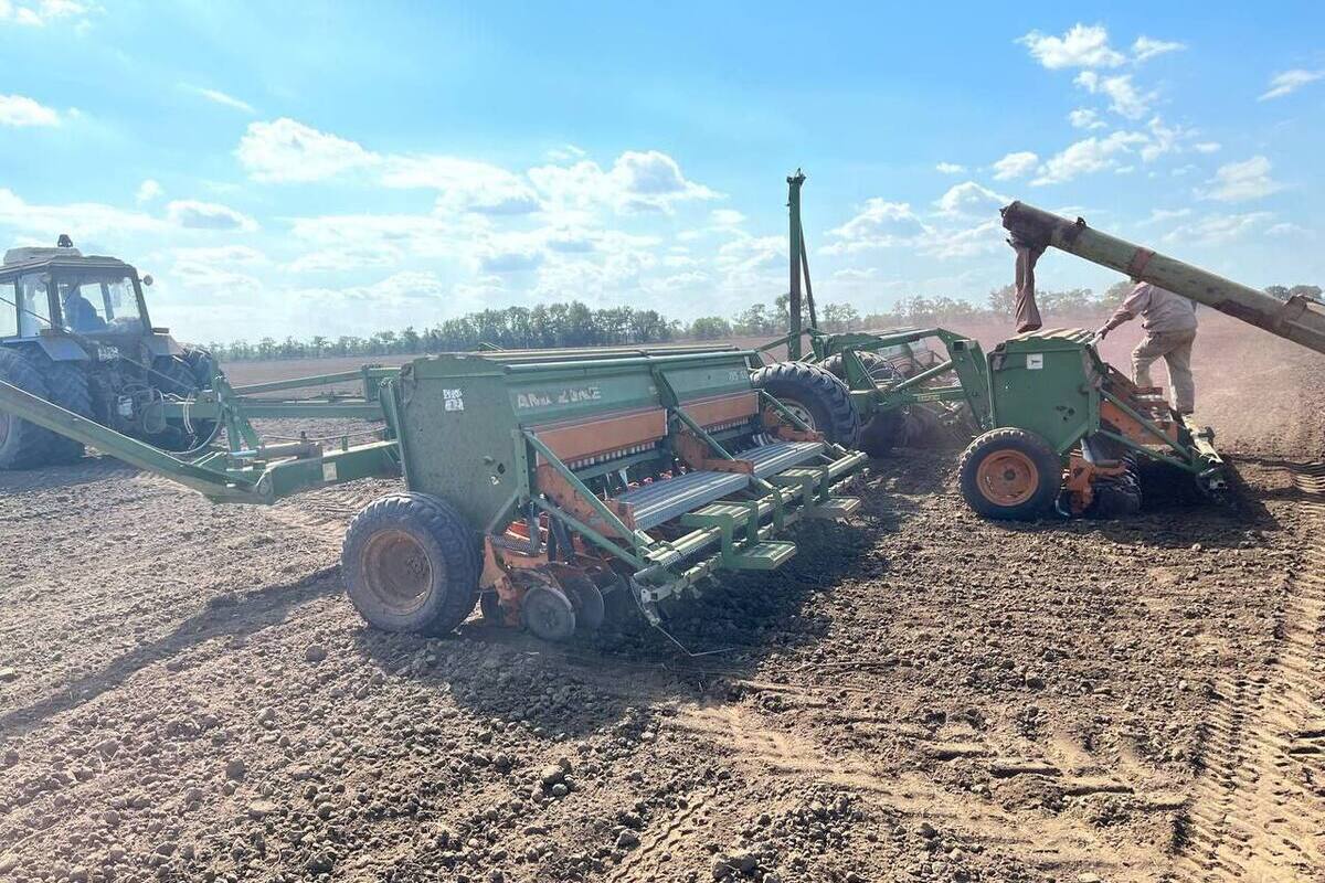 Ставрополье приближается к экватору осеннего сева озимых