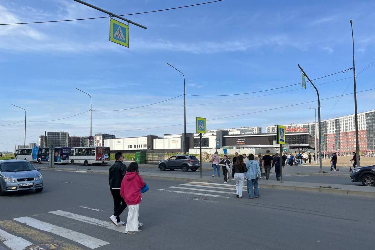 Жители Мурино боятся попасть под колеса на перекресте Шувалова и Ручьевского