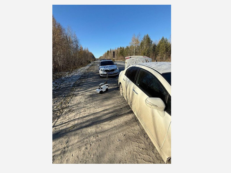 В Югре сотрудники ГИБДД спасли автомобилистку от возможной аварии