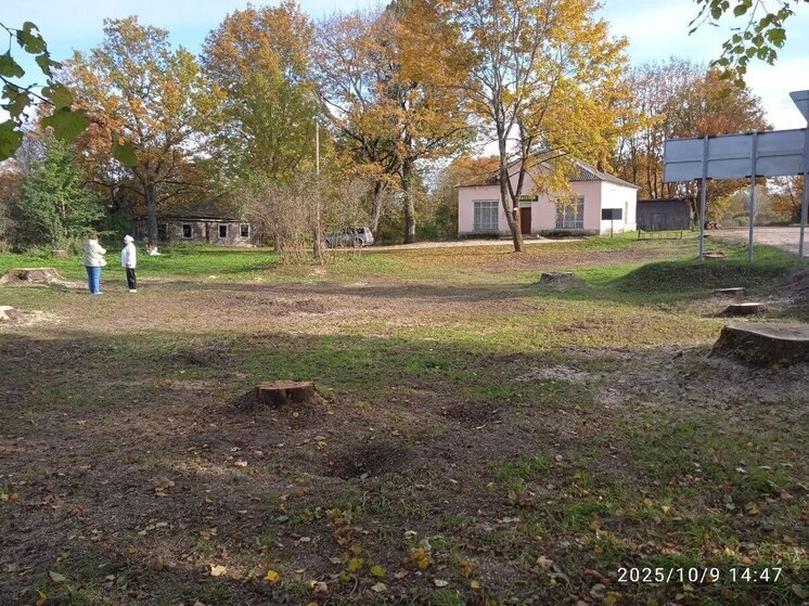 В деревне Платишино завершили благоустройство послевоенного парка