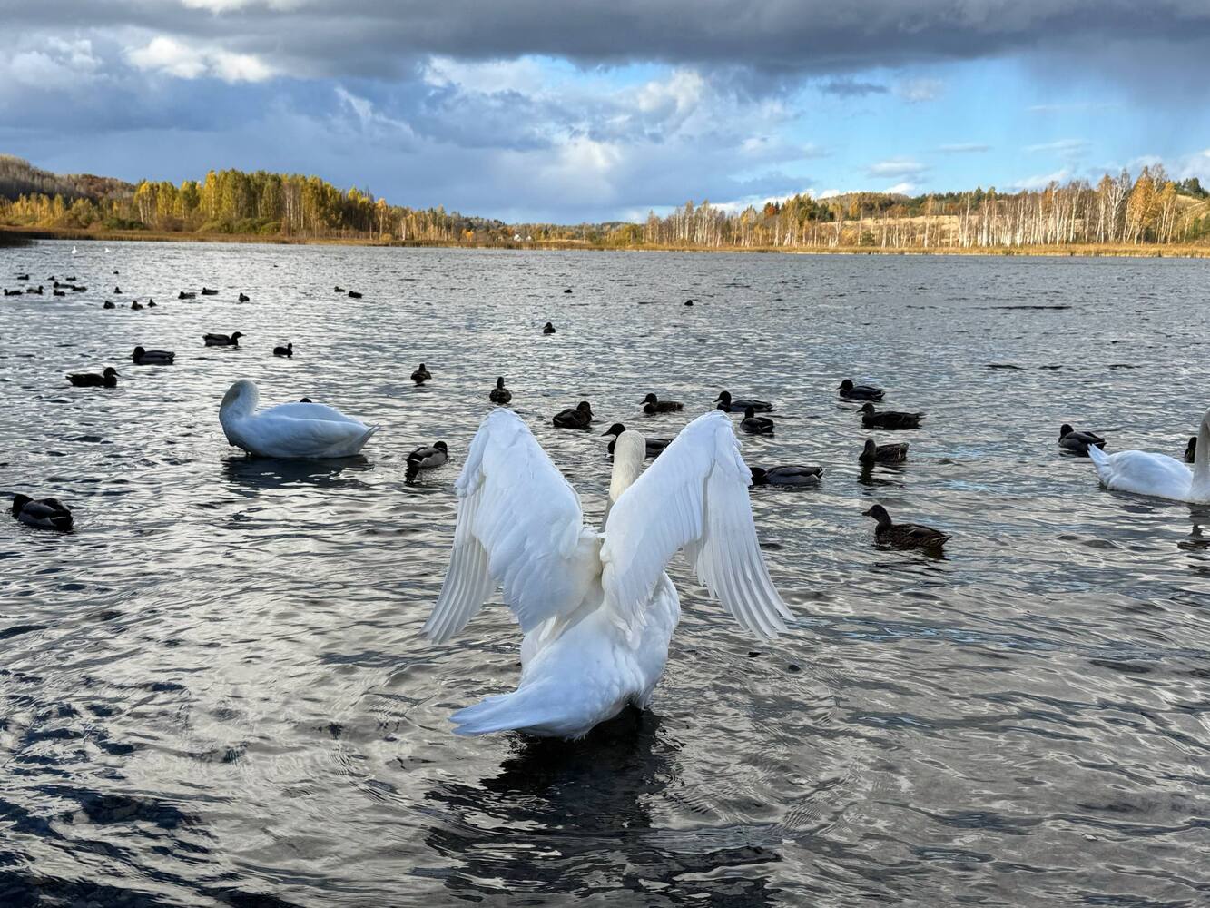 Осенний пейзаж Печор
