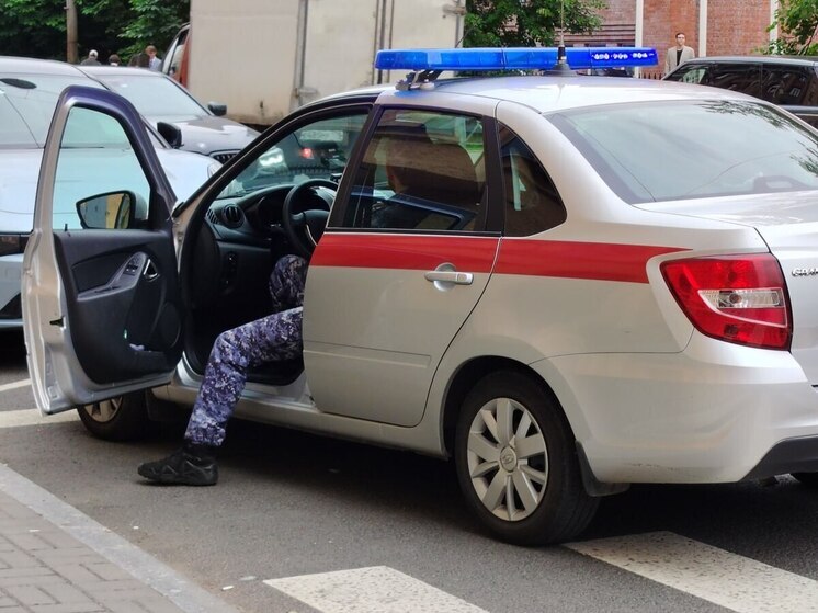 Неугомонный петербуржец дважды за день украл электронику