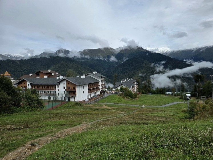 В Сочи детеныш косули упал во двор дома, спасаясь от собак