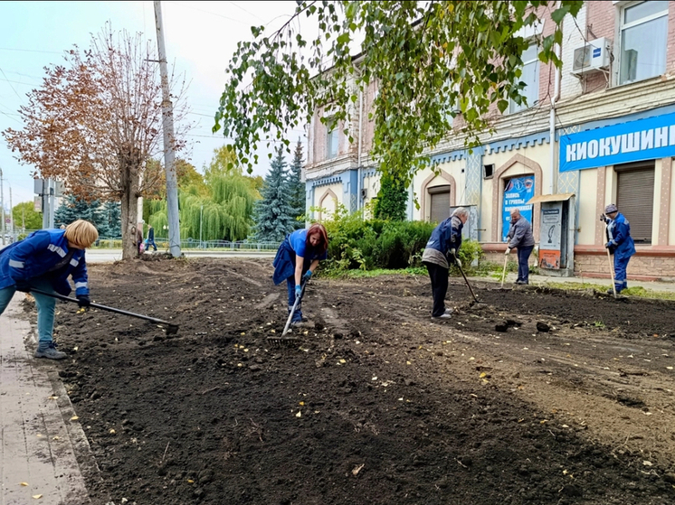 В Орле продолжается озеленение городских территорий