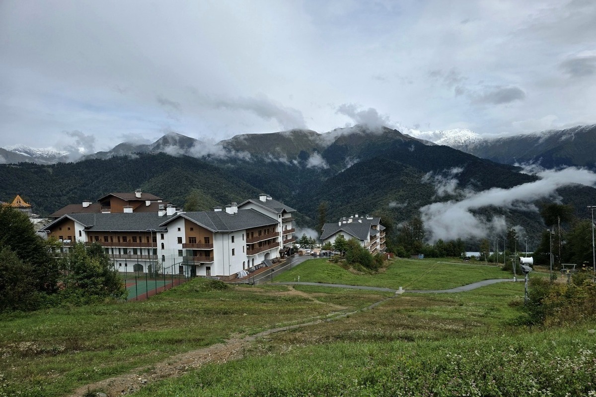 В Сочи детеныш косули упал во двор дома, спасаясь от собак